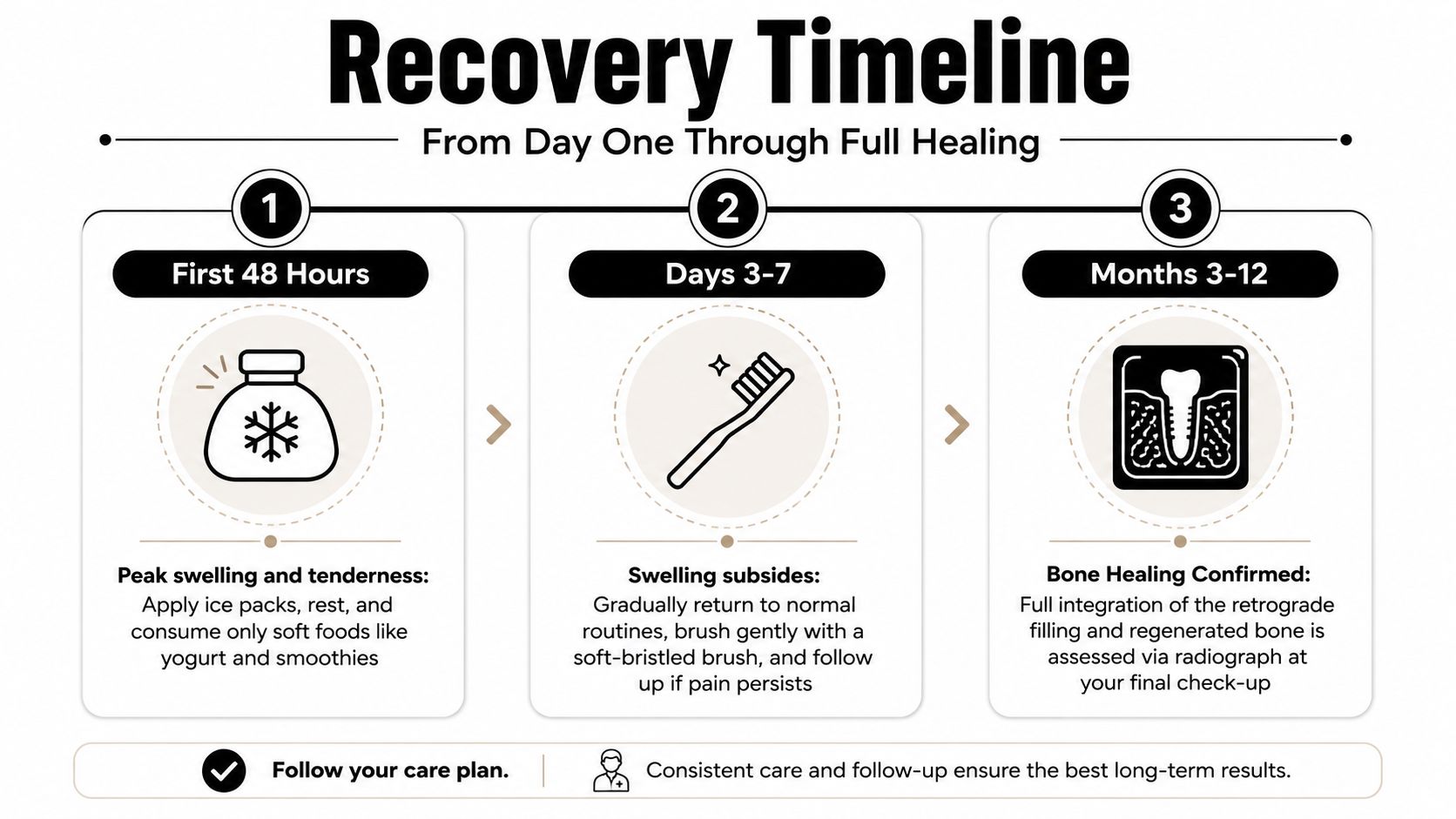 A recovery timeline infographic for an apicoectomy procedure detailing patient care steps from the first day through twelve months.