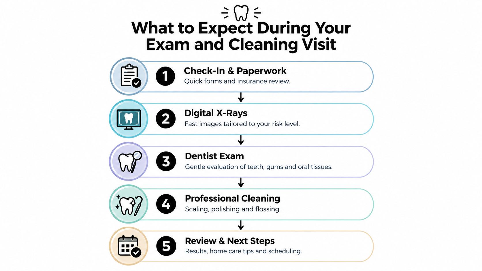 A five-step infographic illustration outlining what to expect during a professional dental exam and cleaning visit.